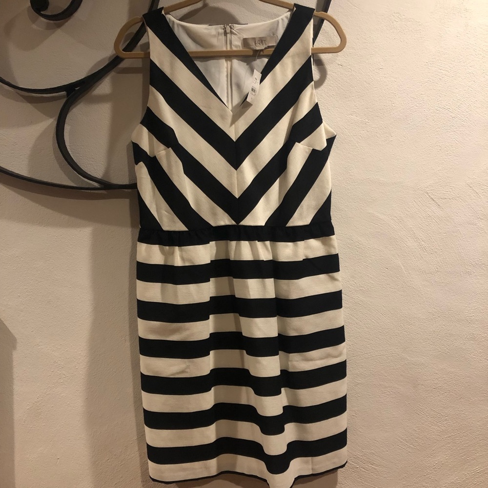 NWT. Loft dress, zipper back, pockets